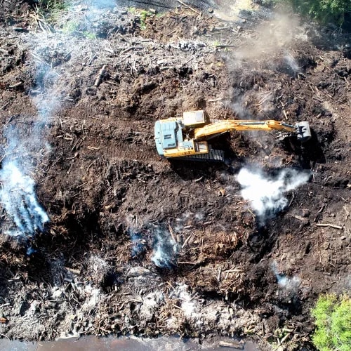 mulch-recycling-survey