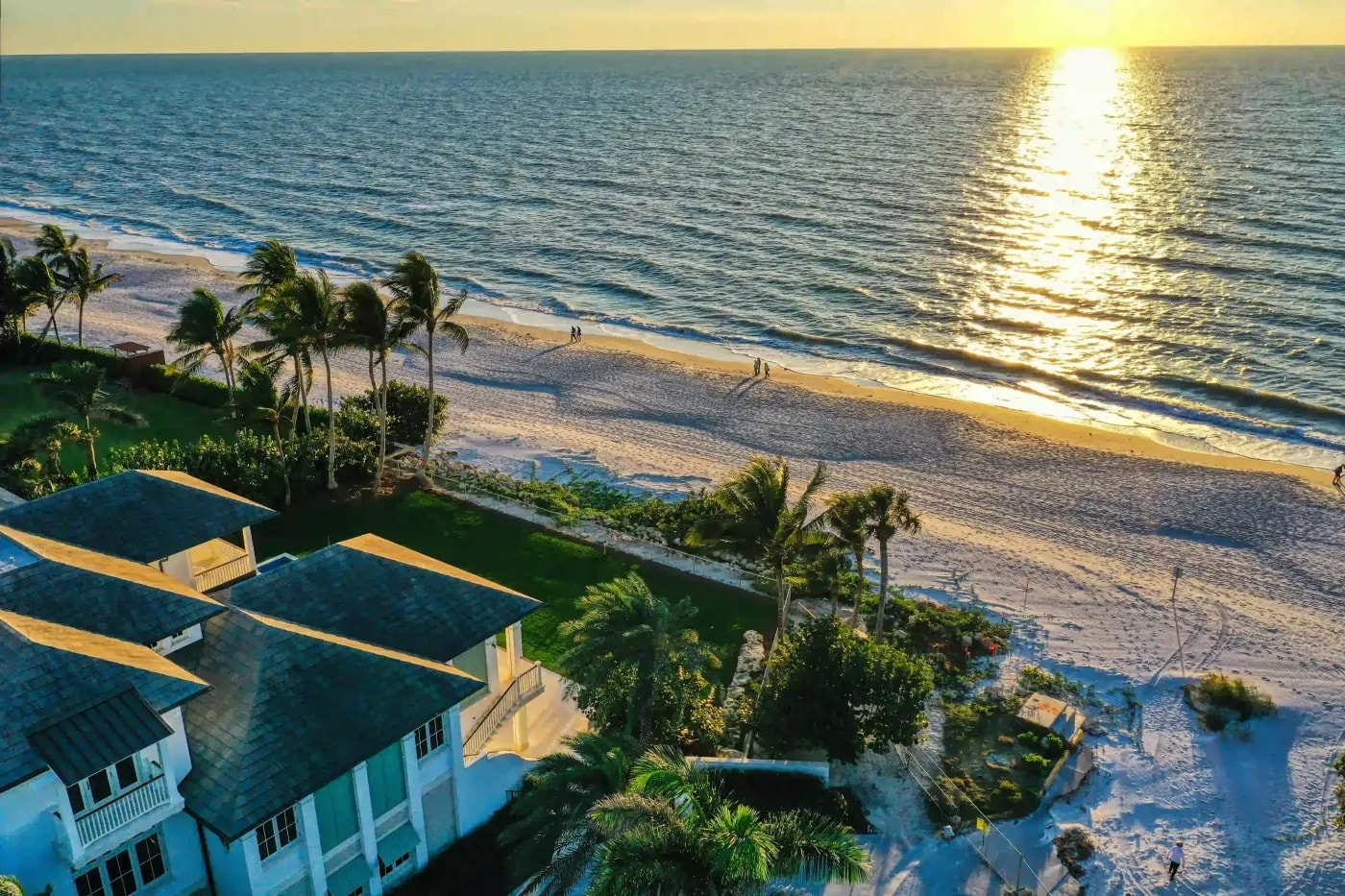Beachfront houses with palm trees at sunset, overlooking a calm shoreline and golden ocean reflection