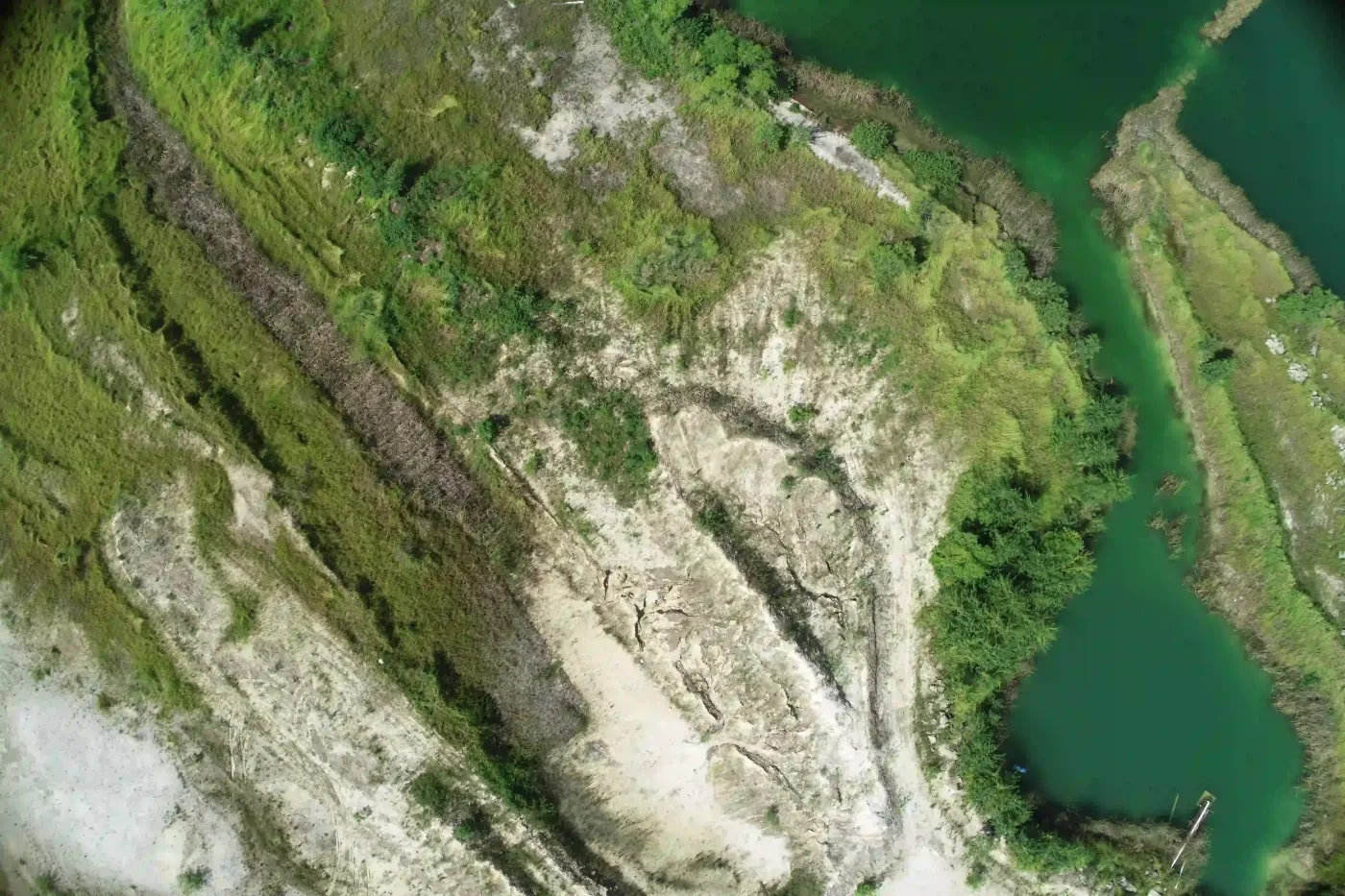 Aerial view of residential area in Tallahassee, surrounded by forest and centered on a small lake