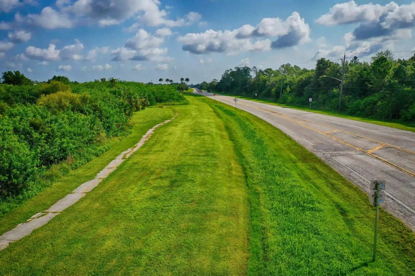 Pond covered with lily pads and bordered by sidewalks and trees in a suburban setting