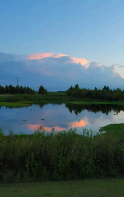 Wetland preserve at sunset with a boardwalk, reflecting pond, and lush vegetation in Gainesville area